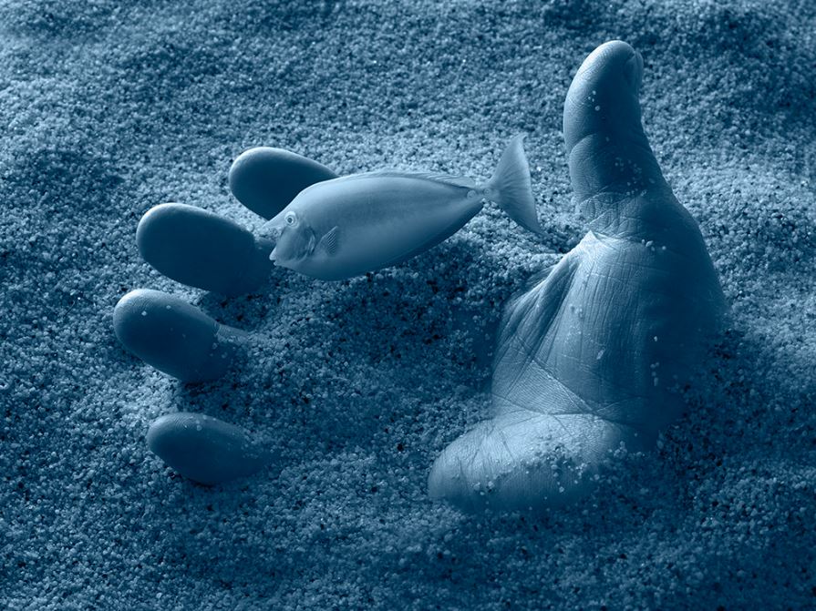 895x671, 151 Kb / кисть, песок, рыба, голубой