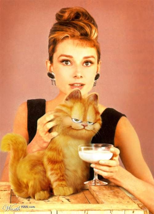 500x694, 41 Kb / Хепберн, Гарфилд