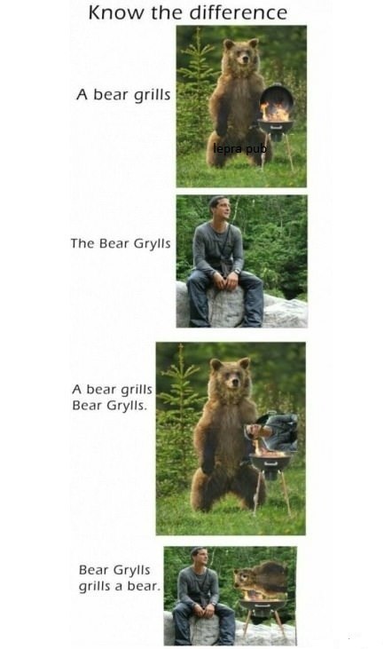 433x731, 44 Kb / медведь, гриль, bear, grylls