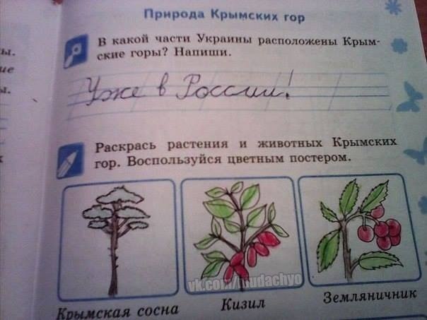 604x453, 39 Kb / крым, политота