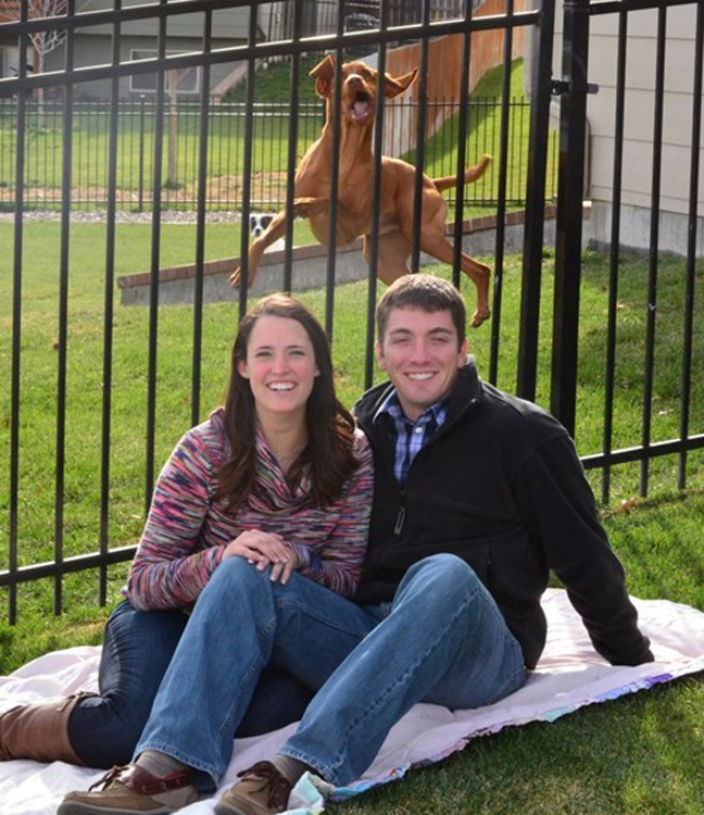 648x750, 276 Kb / пёс, решётка, забор, парочка