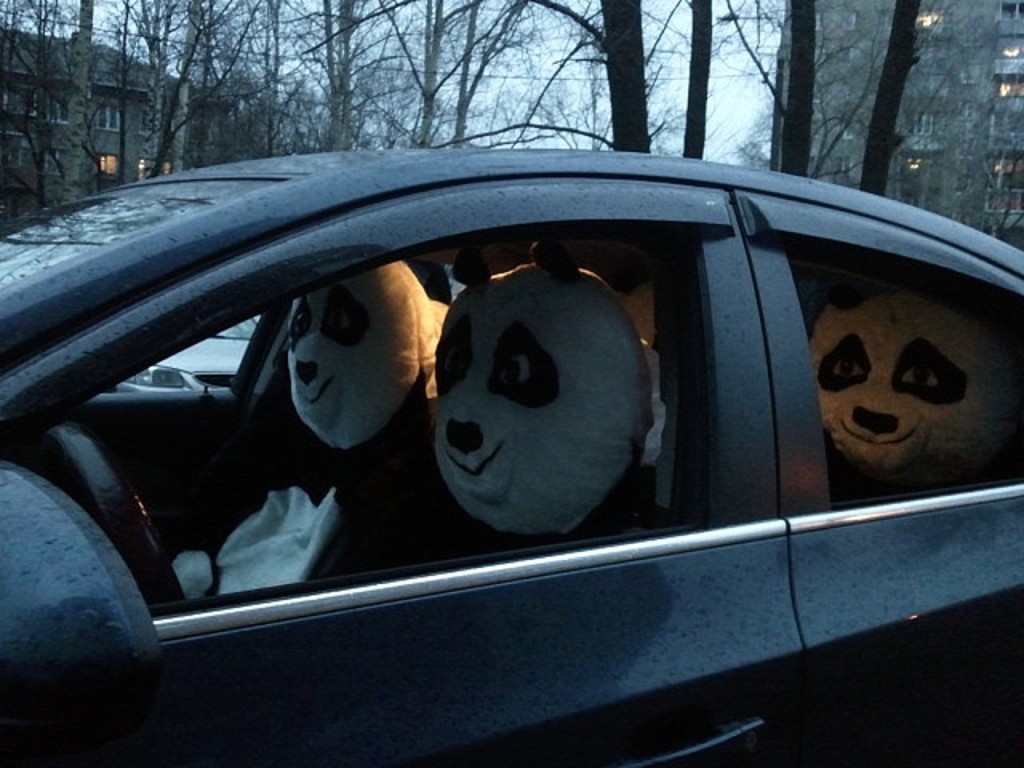 1024x768, 142 Kb / авто, чехол, панда