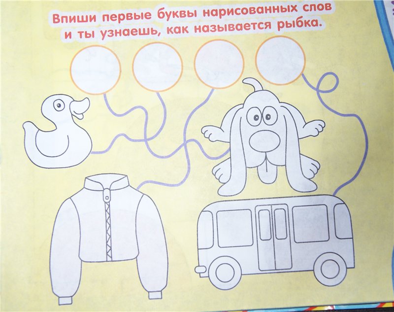 800x633, 79 Kb / ребус, щука