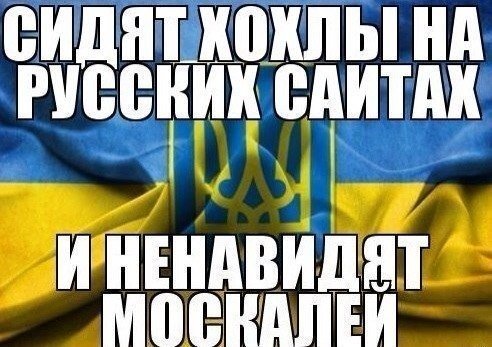 492x347, 49 Kb / политота, украина, украинский, флаг, москали, хохлы, герб, украины, русских, русские, сайты,