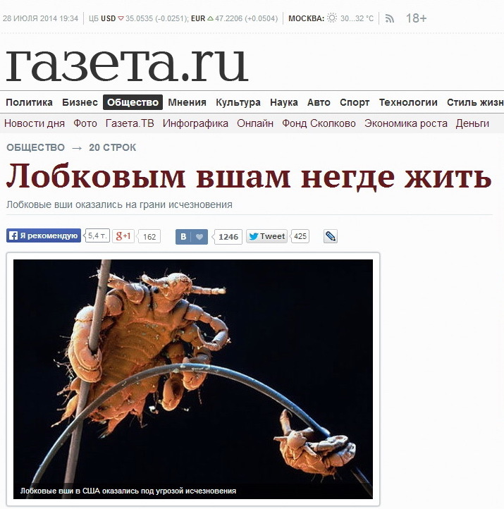 715x722, 131 Kb / вши, мандавошки, вымирание