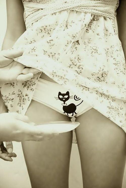 500x749, 46 Kb / платье, трусики, молоко, тарелка, кошка