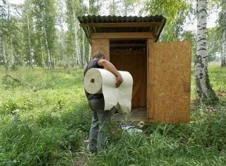 740x546, 83 Kb / сортир, туалет, туалетная, бумага,