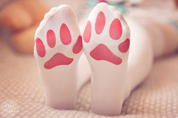 604x402, 34 Kb / носки, лапки, узор