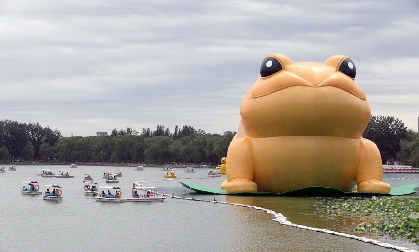 858x517, 96 Kb / лягушка, фигура, озеро