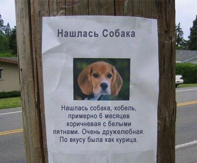 400x330, 51 Kb / собака, объявление, нашлась