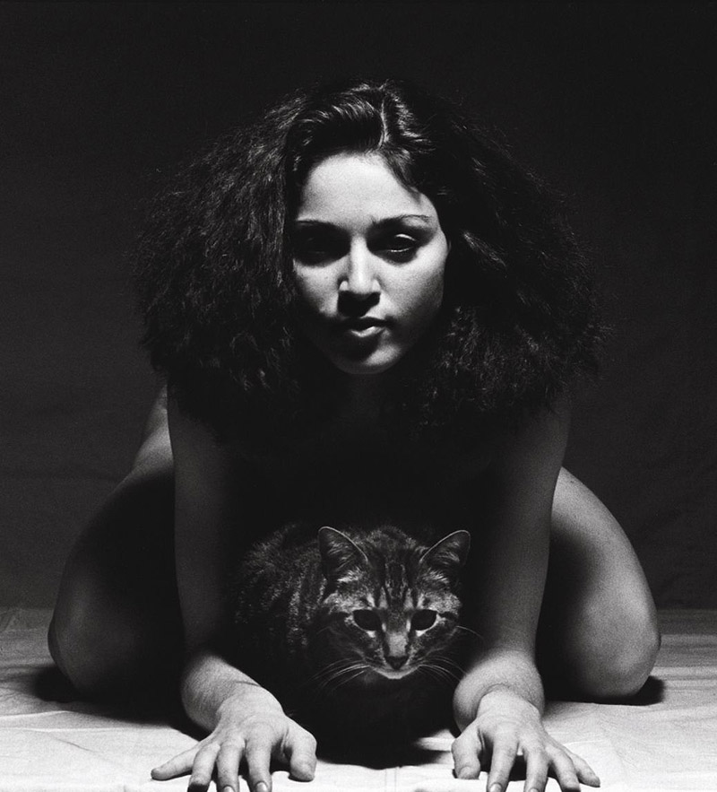 800x883, 134 Kb / звезда, знаменитость, мадонна, кошка, ч/б