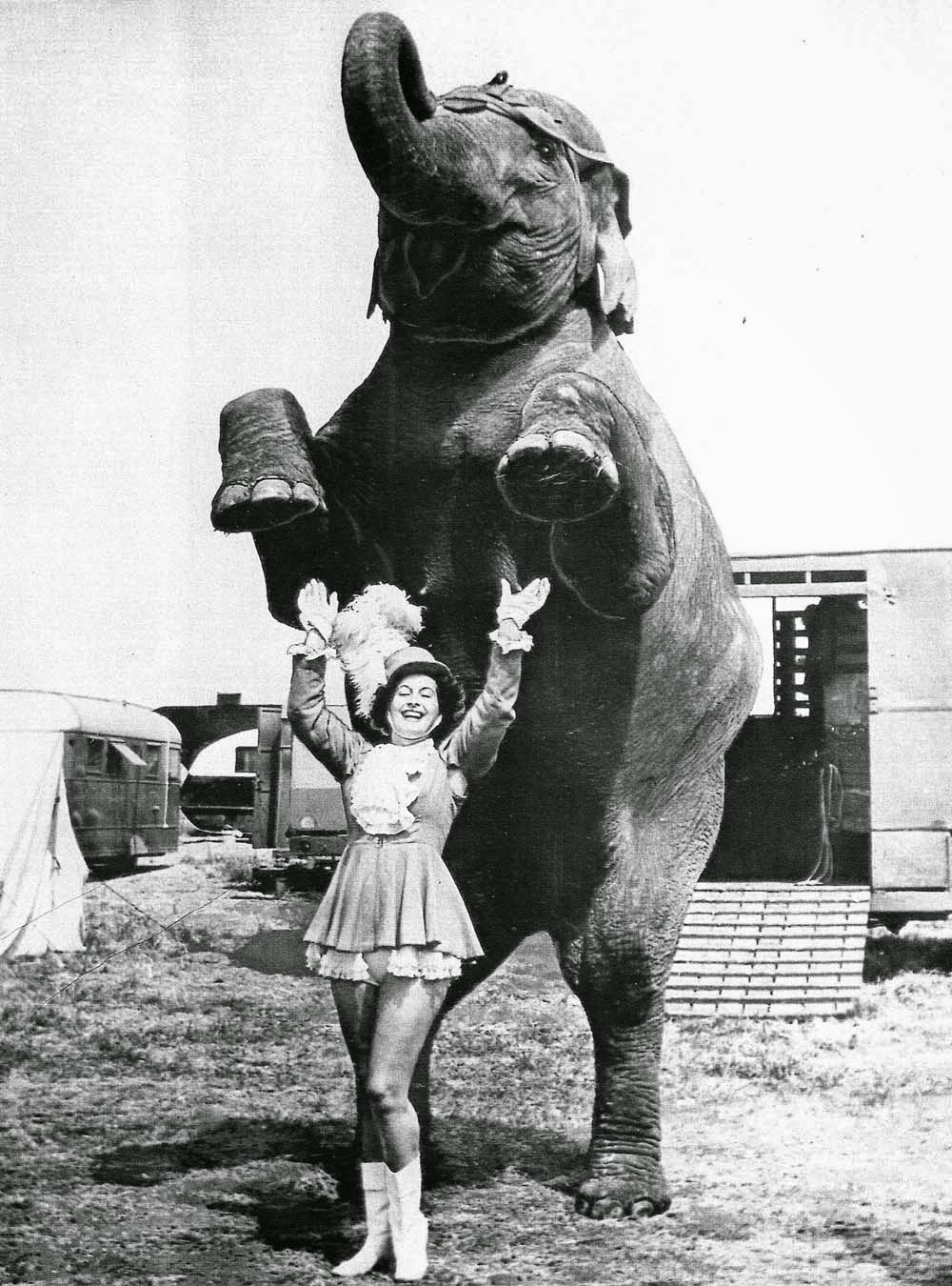 1000x1350, 211 Kb / слон, дрессировщица, дыбы, ретро, ч/б, цирк