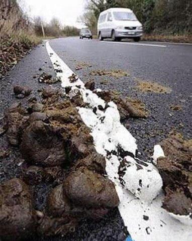 382x480, 43 Kb / разметка, дорога, дерьмо, краска