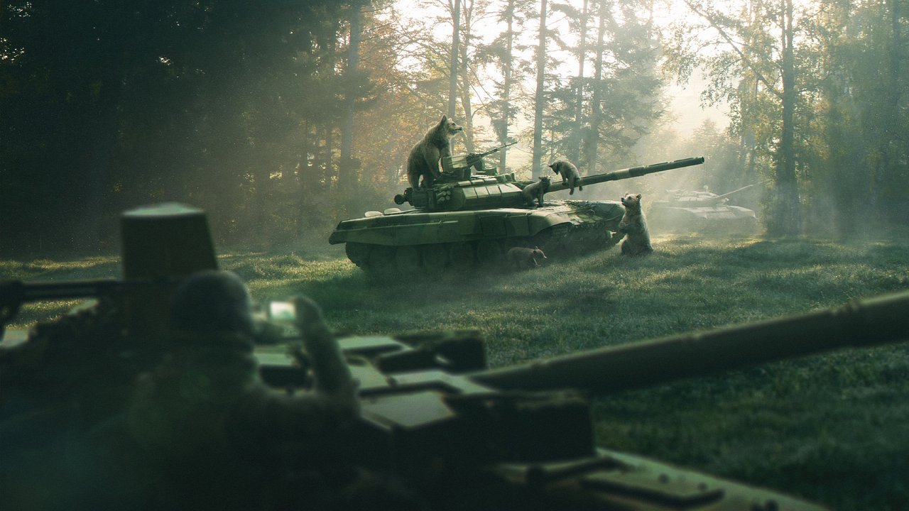 1280x720, 153 Kb / медведица, медвежата, танки, утро, сосны, бор