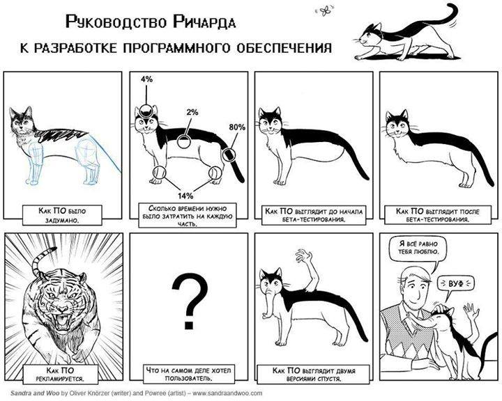 720x576, 69 Kb / разработка, программы, тестирование, котэ, руководство, ёбаный стыд