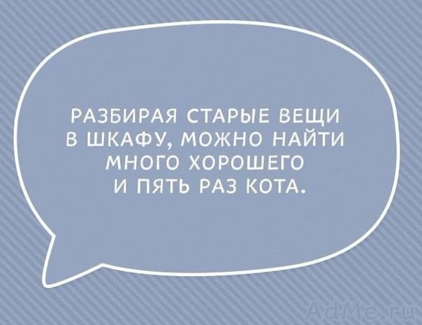 604x465, 25 Kb / кот, шкаф, вещи