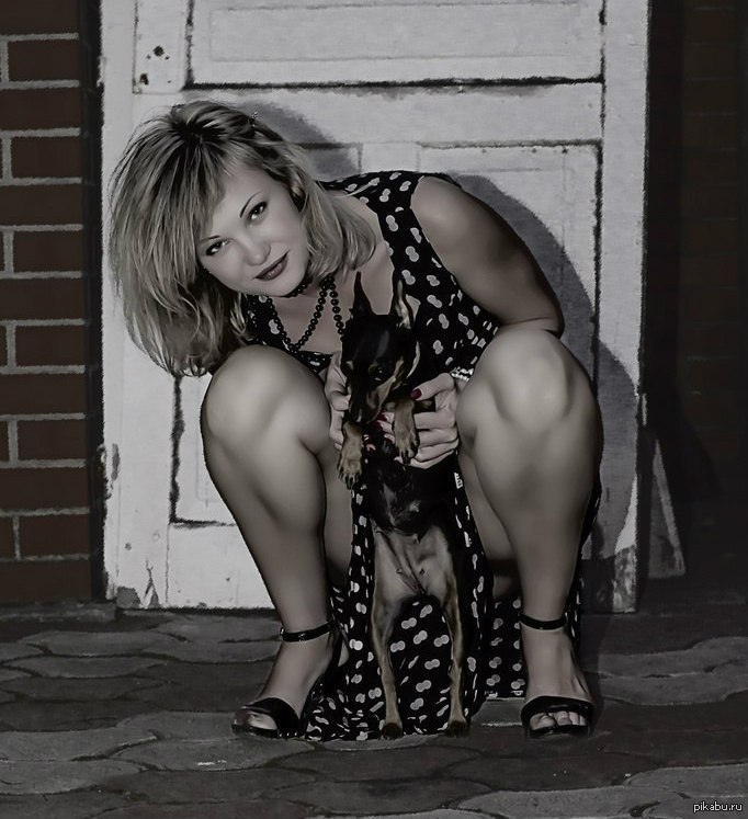 682x747, 95 Kb / блондинка, собака,