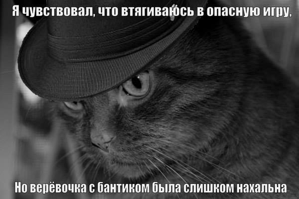 600x400, 30 Kb / котэ, шляпа, игра, бантик, верёвочка, ч/б