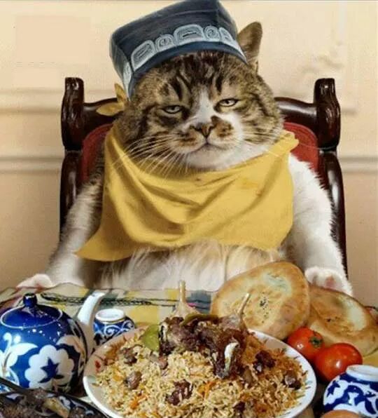 540x596, 58 Kb / кот, узбек, тюбитейка, плов, чайник, лепёшка, помидор, шашлык, стул, фотошоп