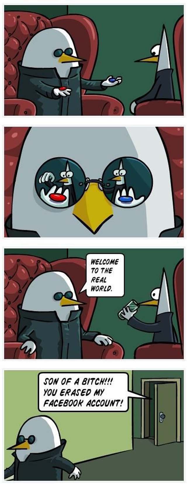 640x1655, 84 Kb / матрица, фейсбук, реальный, мир