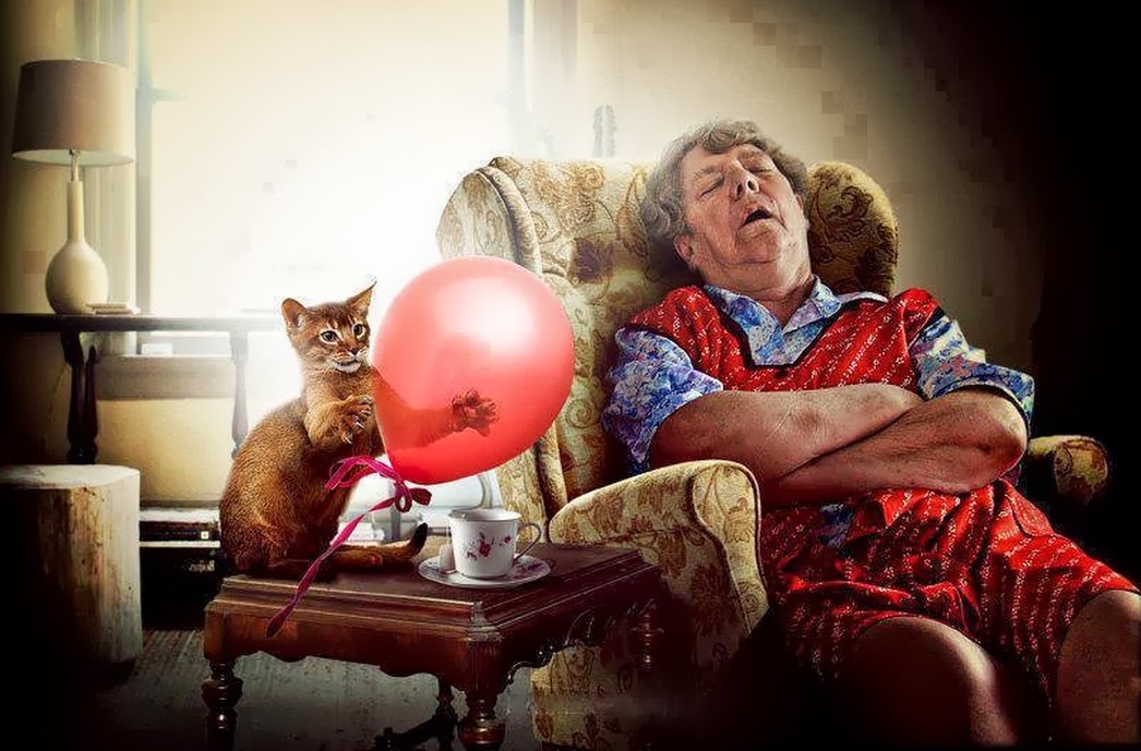 1046x689, 150 Kb / стол, кресло, бабушка, кот, шарик