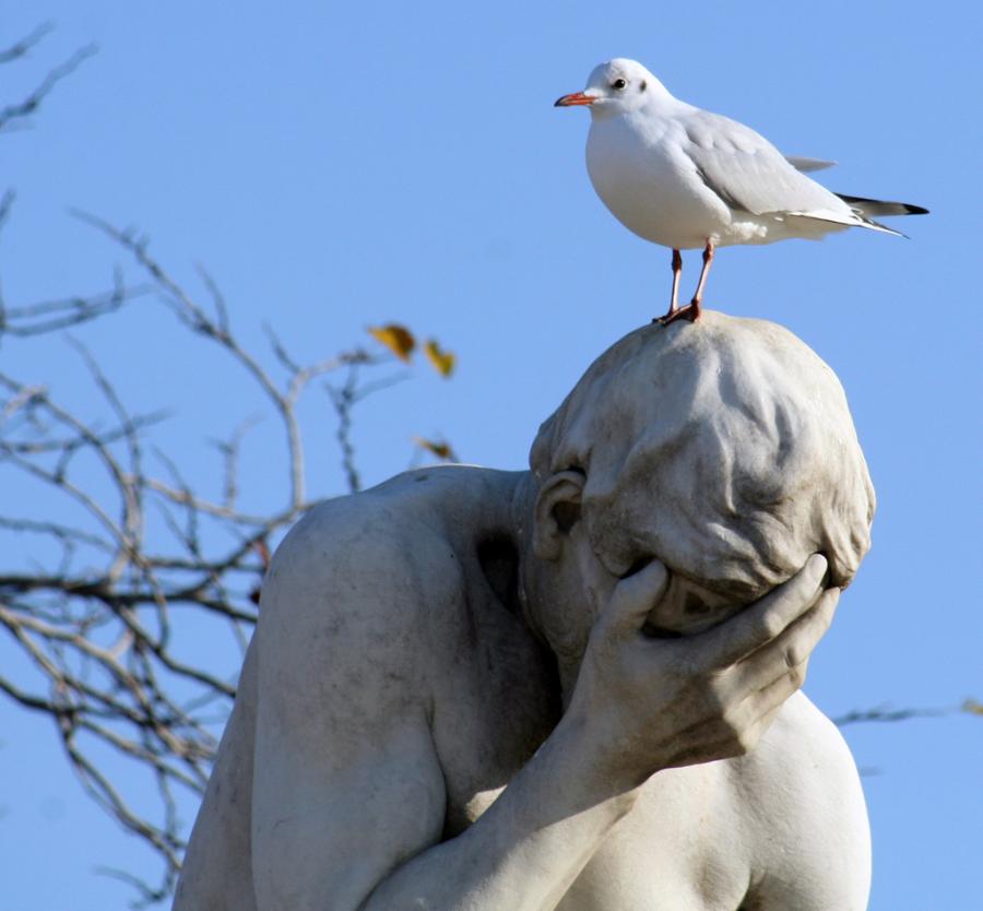 900x834, 55 Kb / чайка, памятник, статуя, facepalm
