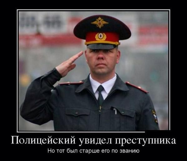 600x517, 43 Kb / полицейский, преступник, звание