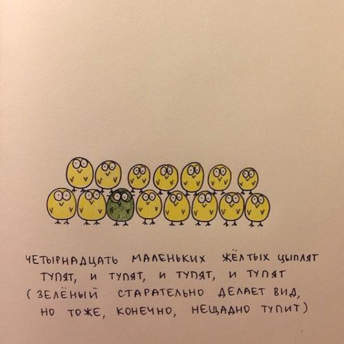 500x500, 29 Kb / Цыплята, 14, тупят