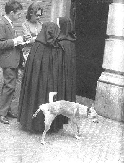 420x550, 46 Kb / монахи, собака, ч/б