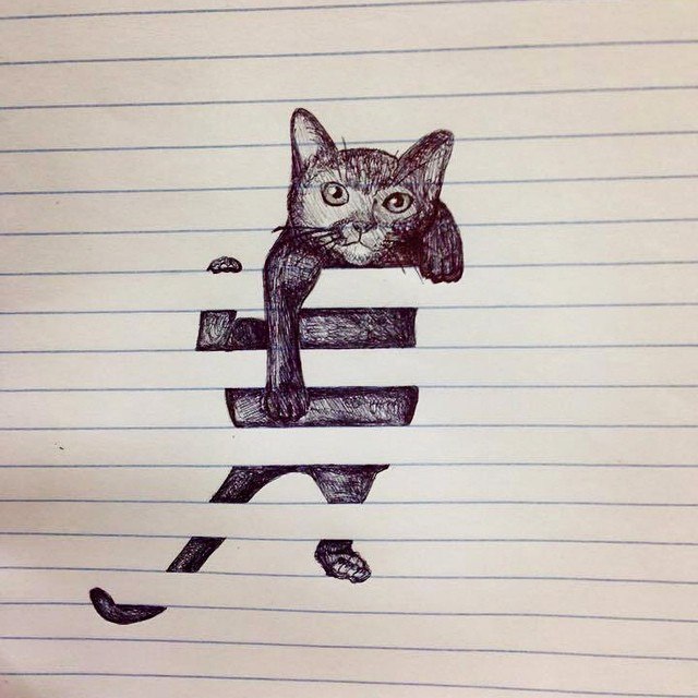 640x640, 73 Kb / Кот, кошка, рисунок, жалюзи