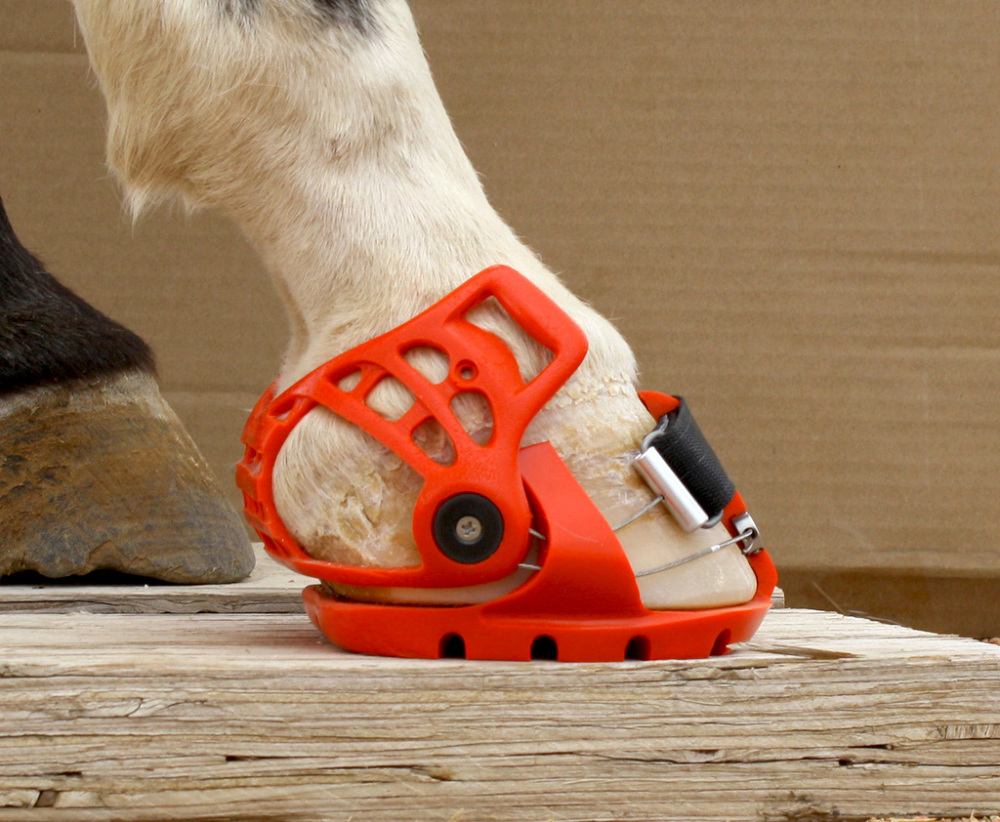 1000x822, 316 Kb / съёмная, подкова, копыто