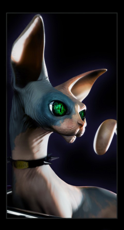 480x888, 62 Kb / кот, рисунок