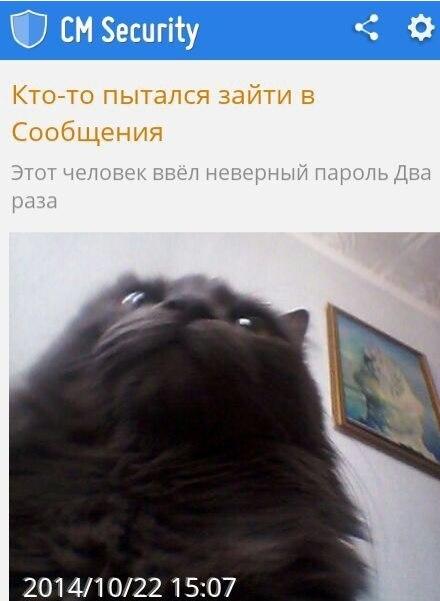 440x601, 30 Kb / котэ, хакер, злоумышленник, пароль, селфи, себяка