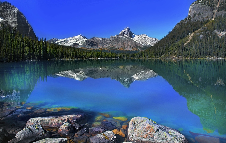 905x573, 336 Kb / горы, камни, озеро, деревья, канада