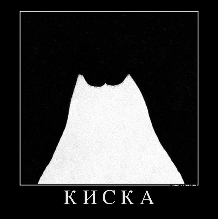 696x700, 44 Kb / Киска