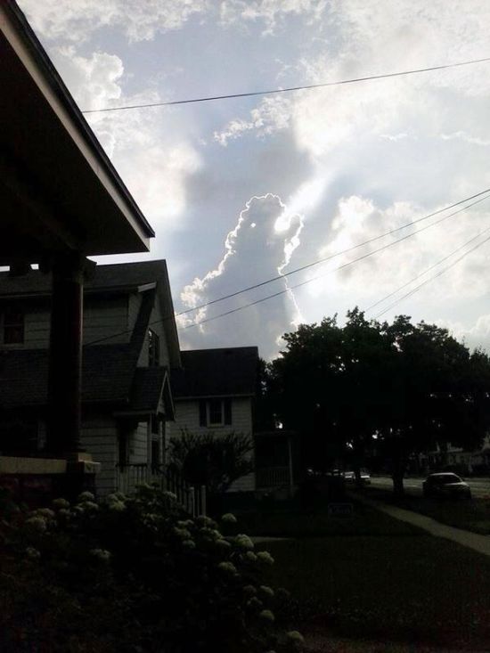 550x733, 42 Kb / облако, годзилла, дракон, динозавр