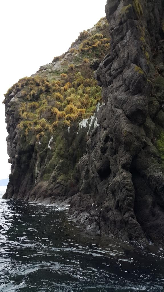 576x1024, 156 Kb / скала, море