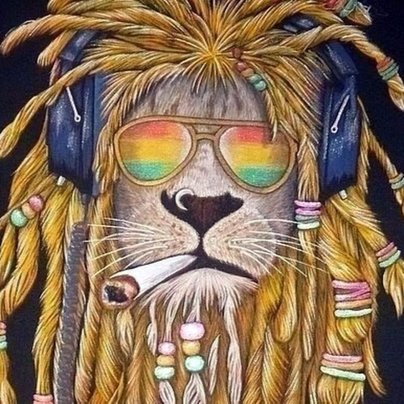 800x800, 210 Kb / лев, очки, наушники, дред