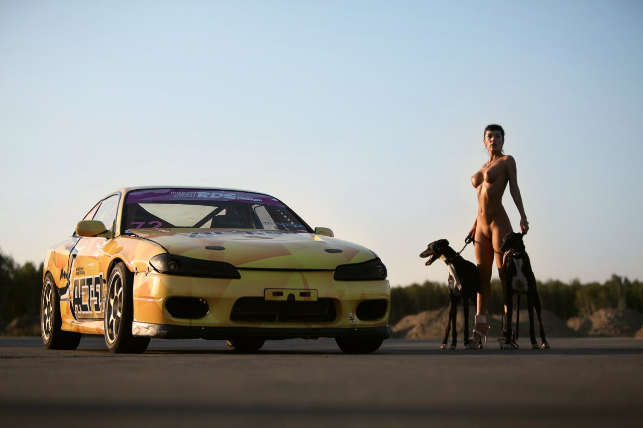 1280x853, 97 Kb / Машина, собаки, дорога, девушка, закат, АСТ-54