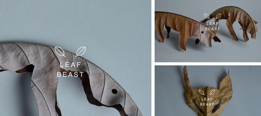 537x240, 23 Kb / листья, сухие, Baku Maeda, животные, искусство