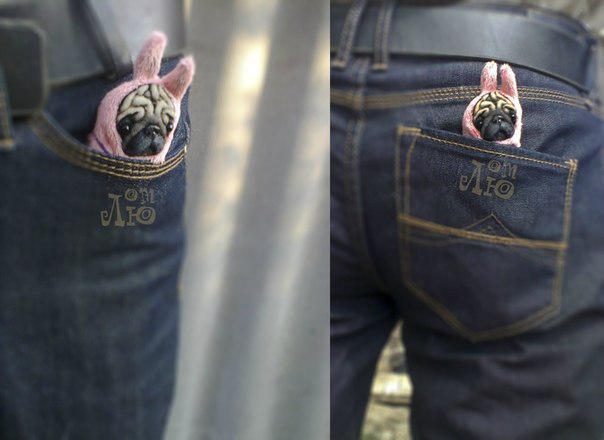 604x440, 36 Kb / няша, пёсик, попа, карман, собака