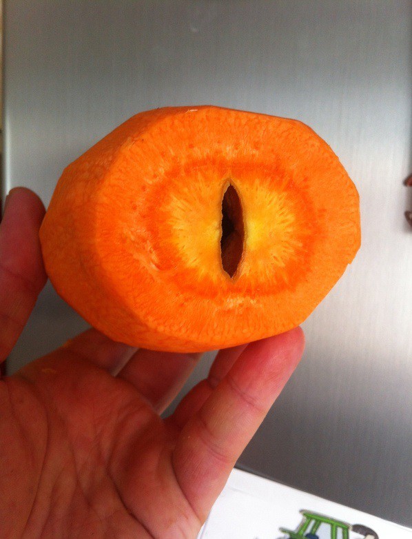 598x782, 98 Kb / око, властелин колец, Саурон, морковь