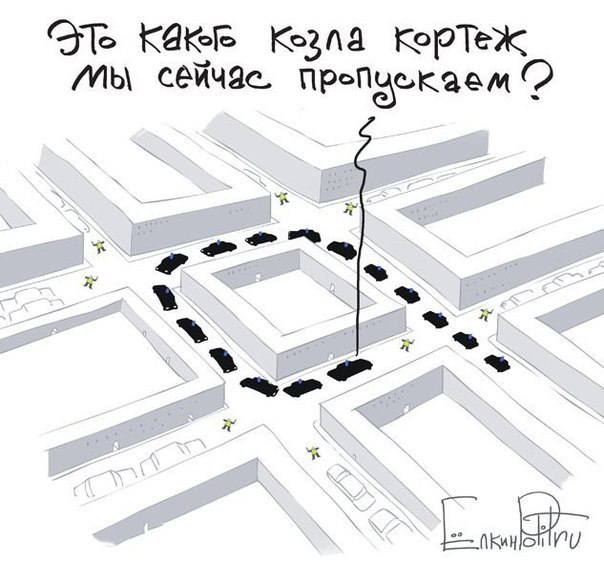 604x562, 64 Kb / Козёл, кортеж