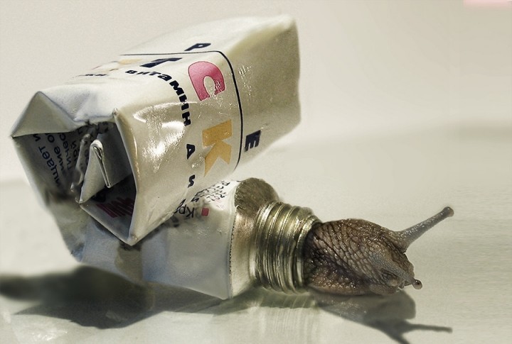 720x485, 65 Kb / тюбик, улитка