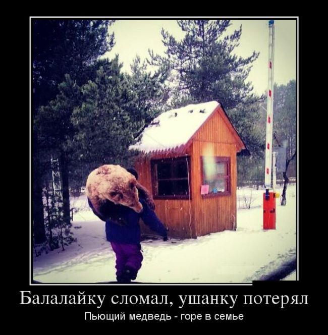 650x664, 66 Kb / демотиватор, медведь, балалайка, сторожка, клюква