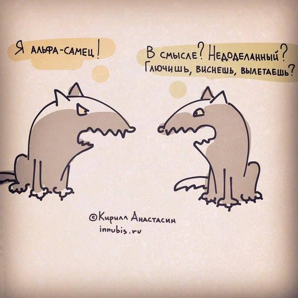 604x604, 39 Kb / альфа, самец, alpha