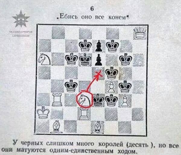 600x515, 103 Kb / Шахматы, мат, короли, конь