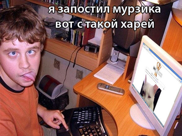 587x441, 78 Kb / монитор, блог, кот, язык