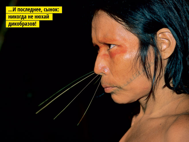 659x498, 101 Kb / дикобраз, индеец