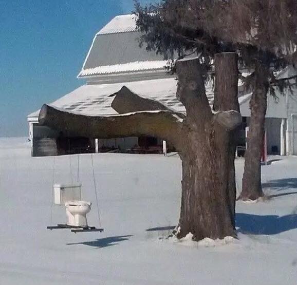 578x555, 35 Kb / снег, дерево, унитаз, качели, срачели